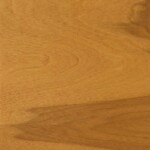 Natural Birch - Goldenrod (1520)