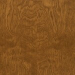 White Birch - Chestnut (1550)