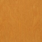 White Birch - Goldenrod (1520)