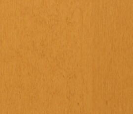 White Maple - Goldenrod (1520)